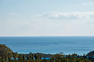 �ڂ̑O�ɍL����F���